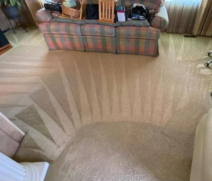 Living Room Carpet cleaning near me