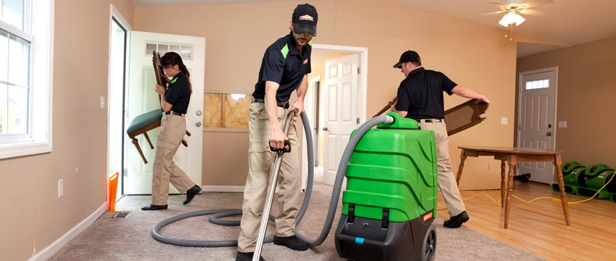 Camarillo, CA cleaning services